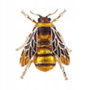 Wasp Golden Insect Brooch