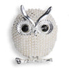 OWL White Brooch with Zircons